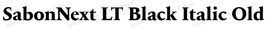 SabonNext LT Black Italic Old Style字体转换